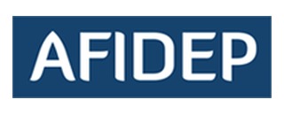 African Institute for Development Policy