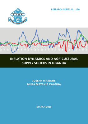 120 Inflation dynamics