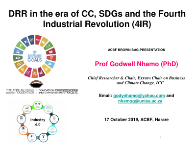2019 ACDF DRR  Prof Nhamo presentation