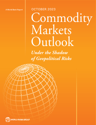Commodity Markert 2023