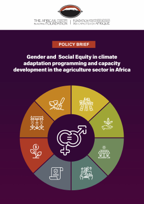 Gender and  Social Equity in climate adaptation programming and capacity development in the agriculture sector in Africa Eng