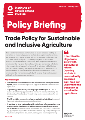 IDS Policy Briefing 208
