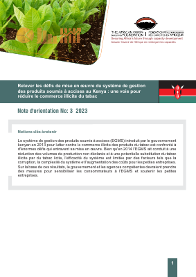 Kenya french brief policy economic final
