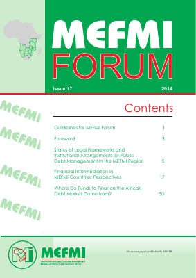 MEFMI Forum - ISSUE 17