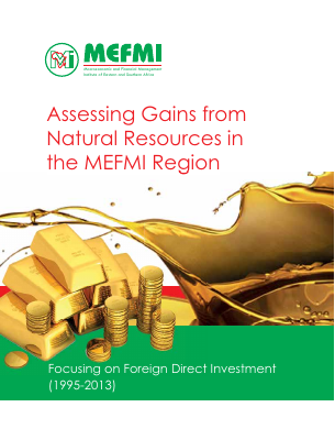 MEfmi Assessing Gains