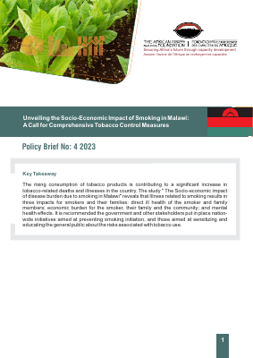 Malawi english brief policy economic final