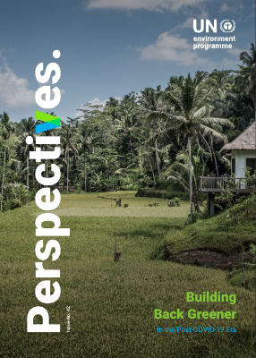 Perspective-Issue42