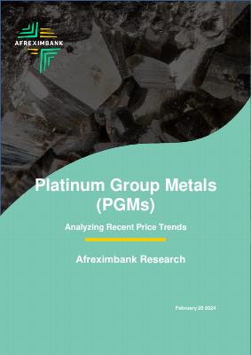 Platinum-Group-Metals-PGMs-Analyzing-Recent-Price-Trends-1-1
