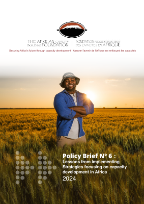 Policy Brief - Lessons from implementing Strategies focusing on capacity dev_v4