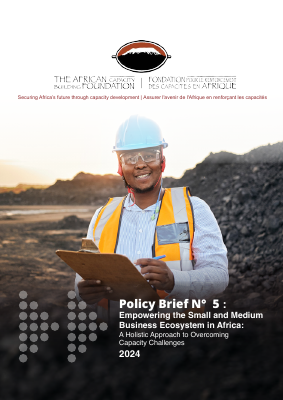 Policy Brief Empowering the SMB Ecosystem in Africa