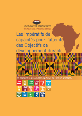 SDG CIM Report French WEB 201218