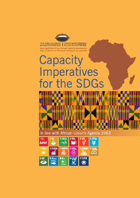 SDG CIM Report web 230119