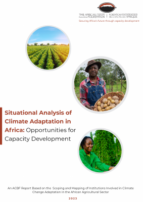 Situational Analysis of Climate Adaptation English