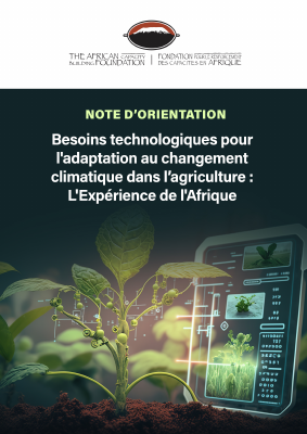 Technology needs for climate adaptation in agriculture Evidence from Africa FR