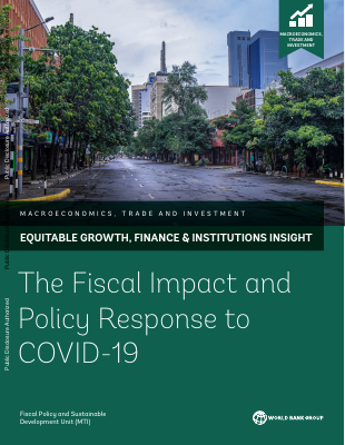 The-Fiscal-Impact-and-Policy-Response-to-COVID-19