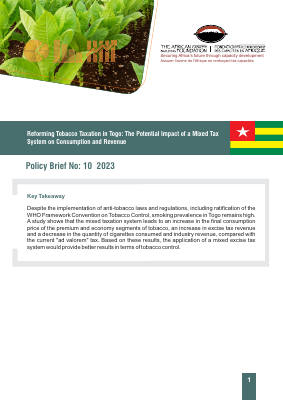 Togo English brief policy economic2 Final
