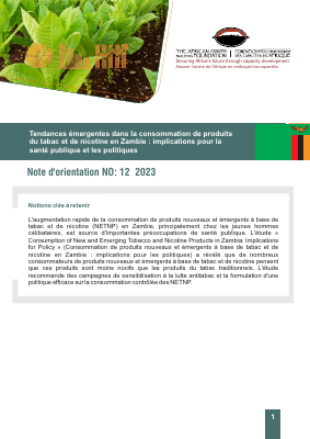 Zambia french brief policy economic Final