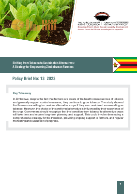 Zimbabwe English brief policy economic Final