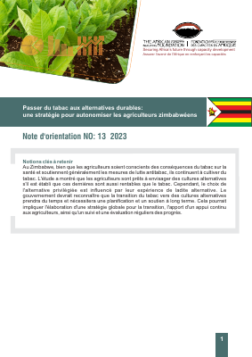 Zimbabwe french brief policy economic Final