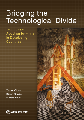 digital divide