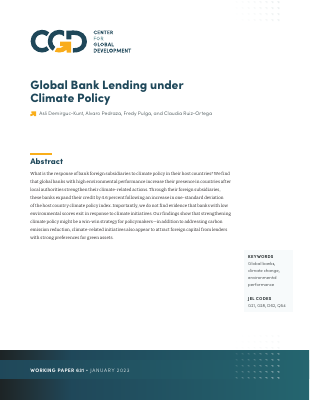 global bank lending under climate policy