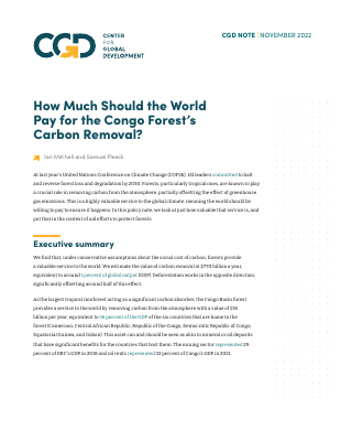 how-much-world-pay-congo-forest-carbon-removal